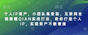 个人IP资产，小团队高变现，互联网全链路赚QIAN实战打法，助你打造个人IP，实现资产不断增值-阳知网创资源库