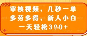 审核视频，几秒一单，多劳多得，新人小白一天轻松3张【揭秘】-阳知网创资源库