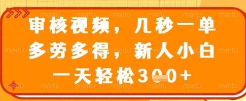 审核视频,几秒一单,多劳多得,新人小白一天轻松3张【揭秘】-阳知网创资源库