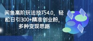 闲鱼高阶玩法技巧4.0，轻松日引300+精准创业粉，多种变现思路-阳知网创资源库