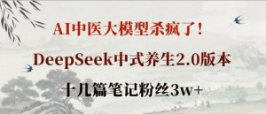 AI中医大模型杀疯了!DeepSeek中式养生2.0版本,十几篇笔记粉丝3w+-阳知网创资源库