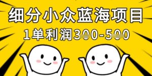 细分小众蓝海项目,一单利润3张,每月收入稳定过1w+-阳知网创资源库