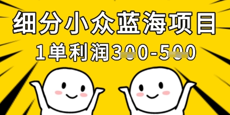 细分小众蓝海项目,一单利润3张,每月收入稳定过1w+-阳知网创资源库