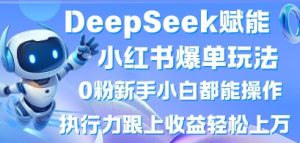 DeepSeek赋能小红书爆单玩法0粉新手小白都能操作，执行力跟上收益轻松上W，懒人勿做-阳知网创资源库