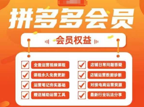 2025拼多多运营实战课,40节全流程教学,覆盖拼多多运营全链路-阳知网创资源库