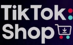 TikTokShop跨境电商0-1实战,手把手教你低成本启动海外市场-阳知网创资源库