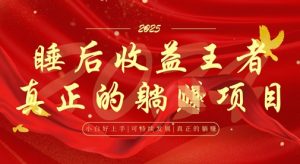 全网首发，面试辅导项目，每月被动收益，自己做老板，全流程AI化，轻松月入过W+-阳知网创资源库