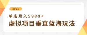 虚拟项目垂直玩法，实现单店月入5k+-阳知网创资源库