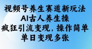 视频号养生赛道新玩法，AI古人养生操，疯狂引流变现，操作简单，单日变现多张-阳知网创资源库