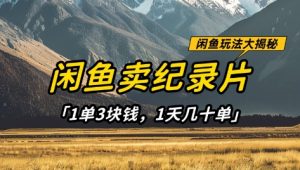 闲鱼卖纪录片1单3块钱,1天几十单,项目稳定有潜力-阳知网创资源库