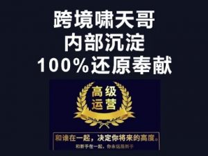 漫威跨境特训营-跨境电商教程-阳知网创资源库