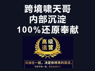 漫威跨境特训营-跨境电商教程-阳知网创资源库