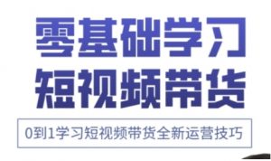 快手运营+高阶剪辑实战课,0到1学习短视频带货全新运营技巧-阳知网创资源库