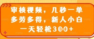 最新审核视频，几秒一单，多劳多得，新人小白一天轻松3张【揭秘】-阳知网创资源库
