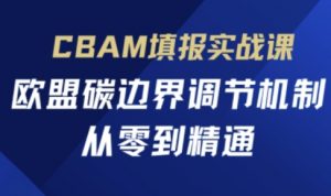 CBAM填报实战课，欧盟碳边界调节机制，从零到精通-阳知网创资源库
