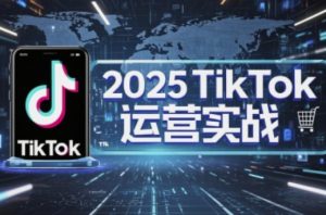 2025TikTok电商运营,掌握TikTok店铺运营核心技巧,实现低成本高转化-阳知网创资源库