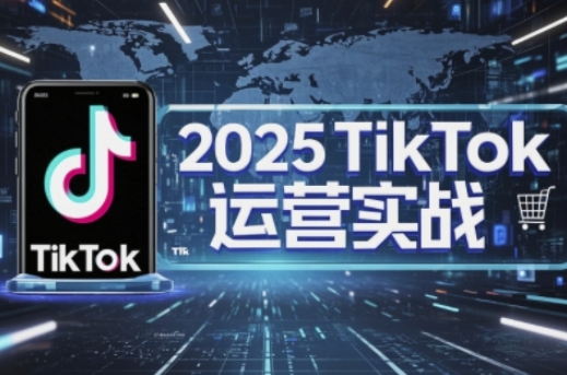 2025TikTok电商运营,掌握TikTok店铺运营核心技巧,实现低成本高转化-阳知网创资源库