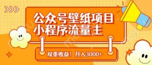 公众号壁纸项目,小程序流量主双收益,月入3000+-阳知网创资源库