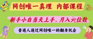 网创唯一真理,内部课程,新手小白当天上手,月入5位数,普通人通过网创唯一的机会【揭秘】-阳知网创资源库