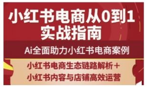2025小红书电商全链路运营,Ai全面助力小红书电商案例-阳知网创资源库