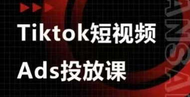 Ads视频投放课，tiktok短视频广告投放课-阳知网创资源库