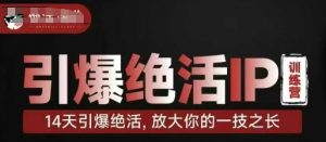 引爆绝活IP训练营,14天引爆绝活,放大你的一技之长-阳知网创资源库