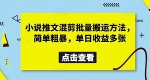 小说推文混剪批量搬运方法，简单粗暴，单日收益多张-阳知网创资源库