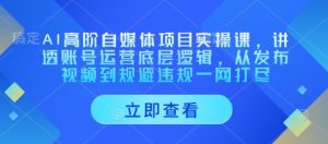 AI高阶自媒体项目实操课,讲透账号运营底层逻辑,从发布视频到规避违规一网打尽-阳知网创资源库