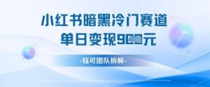 小红书冷门”暗黑”赛道，单日收益多张-阳知网创资源库