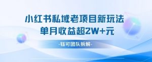小红书私域项目新玩法,单月变现过W+-阳知网创资源库