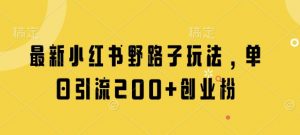 最新小红书野路子玩法，单日引流200+创业粉-阳知网创资源库