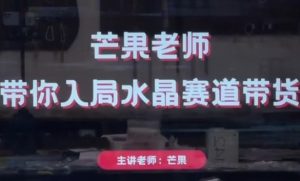 芒果老师·带你入局水晶赛道带货,助你开启水晶直播带货事业-阳知网创资源库