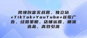 跨境创富实战营,独立站+TikTok+YouTube+谷歌广告,经营策略,店铺运营,精准选品,高效引流-阳知网创资源库