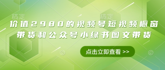 价值2980的视频号短视频橱窗带货和公众号小绿书图文带货-阳知网创资源库
