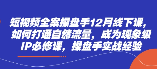 短视频全案操盘手12月线下课,如何打通自然流量,成为现象级IP必修课,操盘手实战经验-阳知网创资源库
