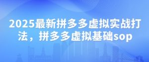 2025最新拼多多虚拟实战打法,拼多多虚拟基础sop-阳知网创资源库