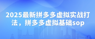 2025最新拼多多虚拟实战打法,拼多多虚拟基础sop-阳知网创资源库