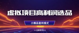 虚拟项目高利润选品方法,做好单店利润1W+,可多店倍增利润-阳知网创资源库