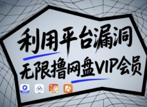利用平台漏洞,无限撸网盘VIP会员,用户亲测有效!【漏洞原理+操作演示】-阳知网创资源库