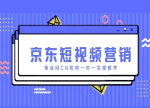 京东短视频营销项目，专业MCN机构一对一实操教学-阳知网创资源库