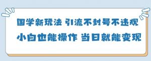 国学新玩法，引流不封号不违规小白也能操作，当日就能变现-阳知网创资源库