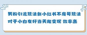 男粉引流玩法(新)，玩法友好做的好当天就能变现-阳知网创资源库
