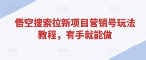 悟空搜索拉新项目营销号玩法教程，有手就能做-阳知网创资源库