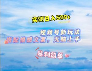 微信视频号最新玩法，表情包搭配情感文案，2分钟一条原创作品，简单好上手，轻松日入几张-阳知网创资源库