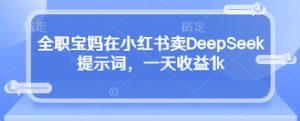 全职宝妈在小红书卖DeepSeek提示词,一天收益1k-阳知网创资源库