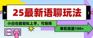 25年最新语聊玩法,纯手工,单机收益100+,小白也能轻松上手,可矩阵操作-阳知网创资源库