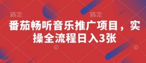 番茄畅听音乐推广项目，实操全流程日入3张-阳知网创资源库