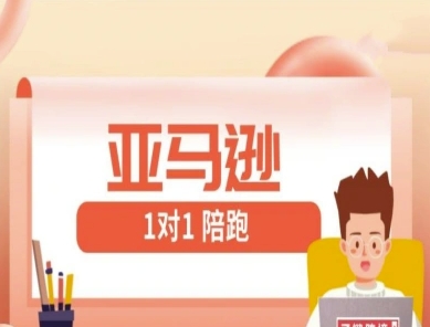 亚马逊1对1陪跑课(FBA/FBM精铺)跨境亚马逊教程-阳知网创资源库