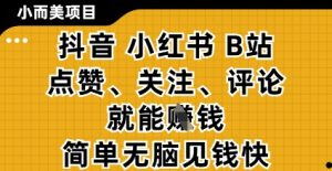 小而美的项目,抖音小红书B站视频点赞、关注、评论就能挣钱,简单无脑立见收益,妥妥的零撸项目【揭秘】-阳知网创资源库