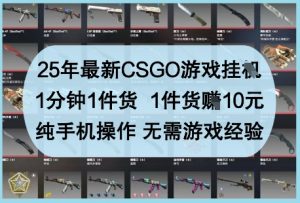 25年最新CSGO游戏挂G，1分钟1件货，1件货挣10元，纯手机操作，无需游戏经验【揭秘】-阳知网创资源库